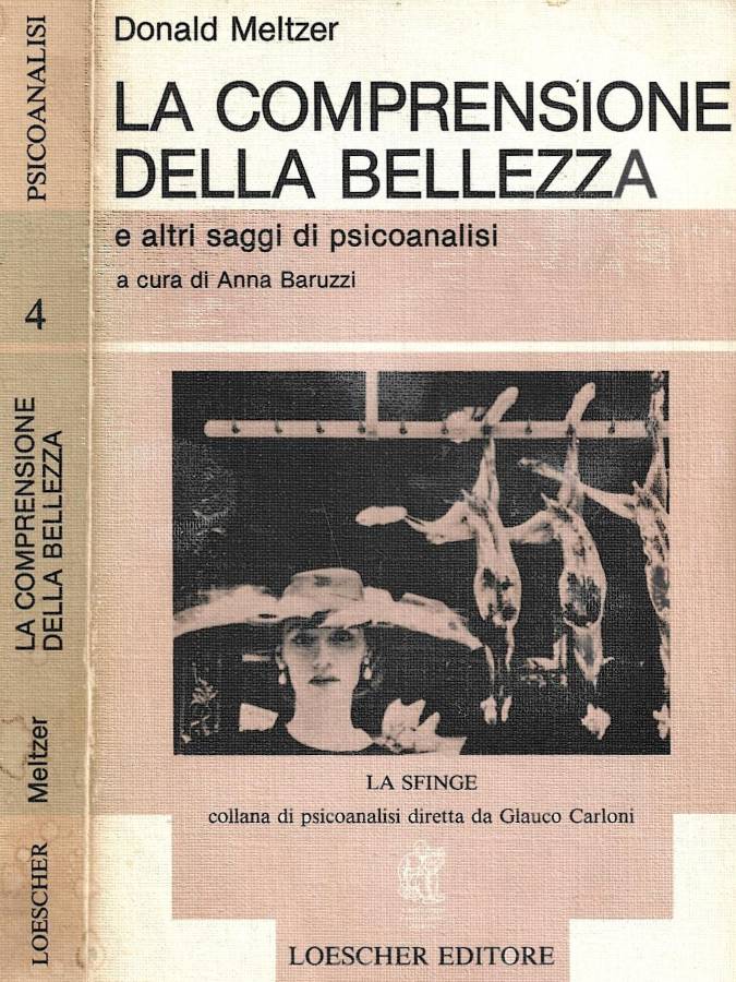 La comprensione della bellezza e altri saggi di psicoanalisi