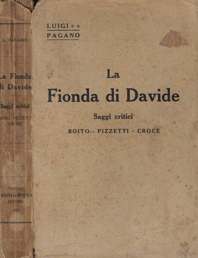 La Fionda di Davide