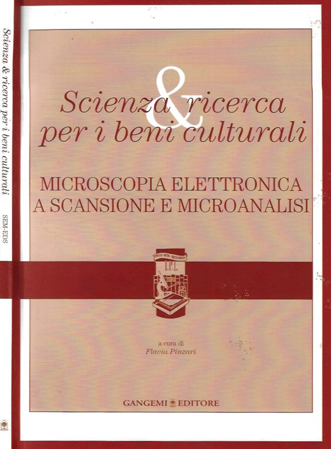 Microscopia elettronica a scansione e microanalisi