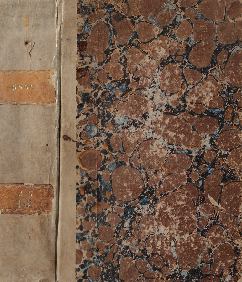 Regia Parnassi seu Musarum Palatium