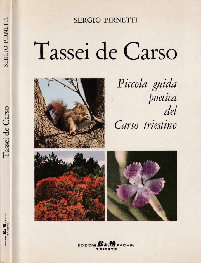 Tassei de Carso