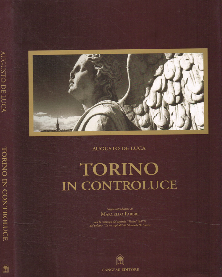 Torino in controluce