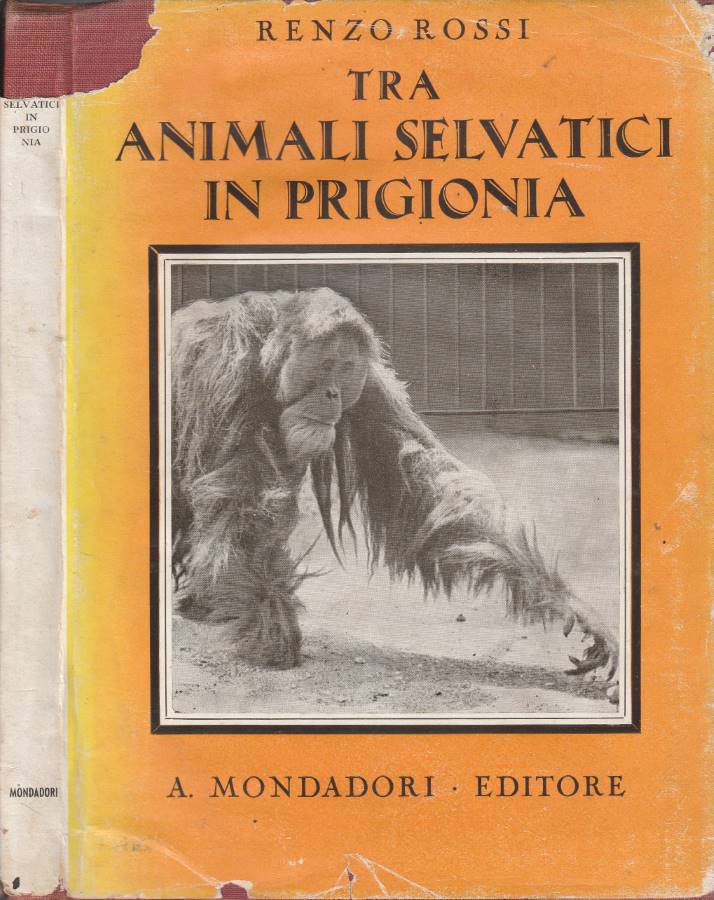 Tra animali selvatici in prigionia