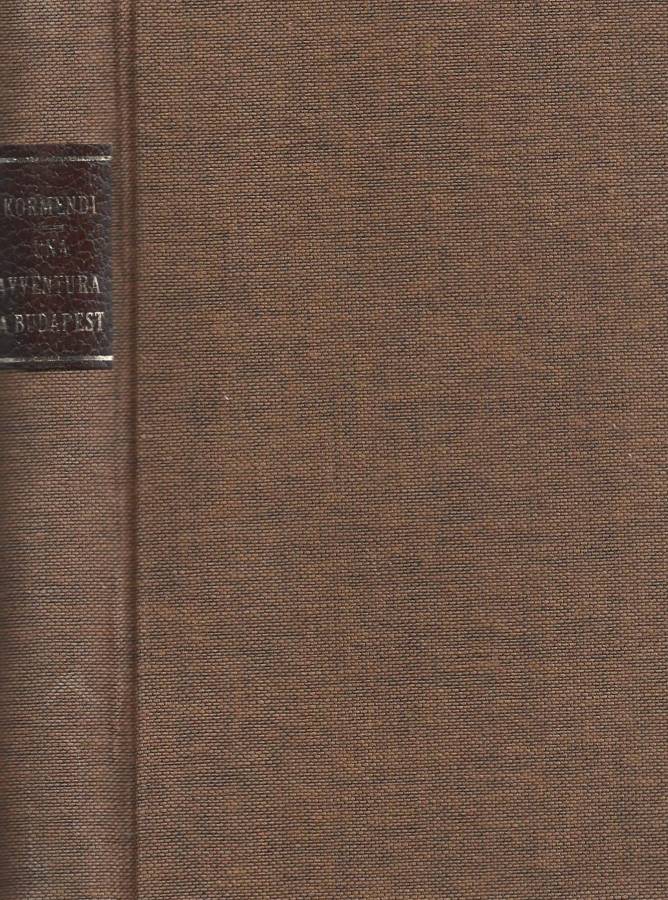 Un'avventura a Budapest