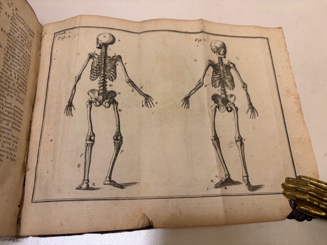 L'Anatomie D'Heister Avec Des Essais De Physique, sur L'Usage Des …