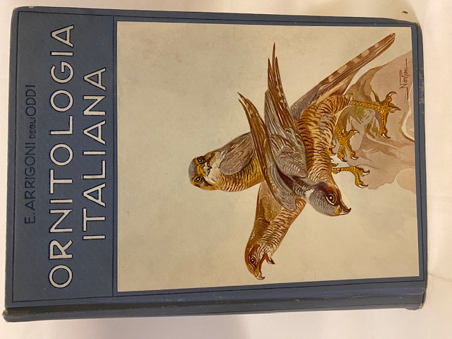 Ornitologia italiana. Con 586 incisioni nel testo e 36 tavole …