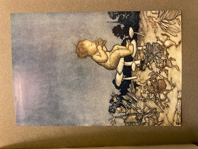 Peter Pan in Kensington Gardens with drawings by Arthur Rackham.