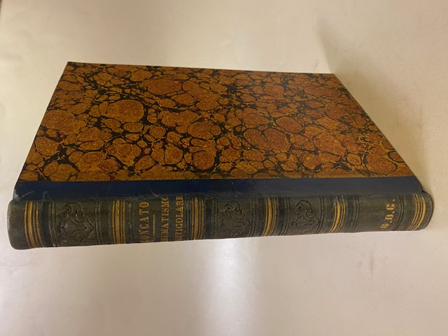 Sul Reumatismo articolare a corso rapido. Studi clinico-anatomici.