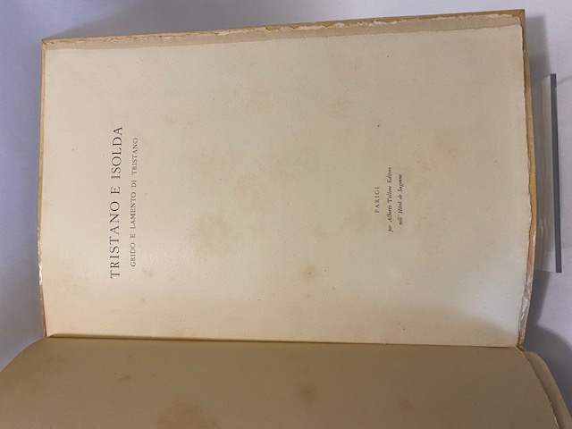 Tristano e Isolda. Grido e lamento di Tristano.