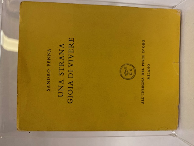 Una strana gioia di vivere.