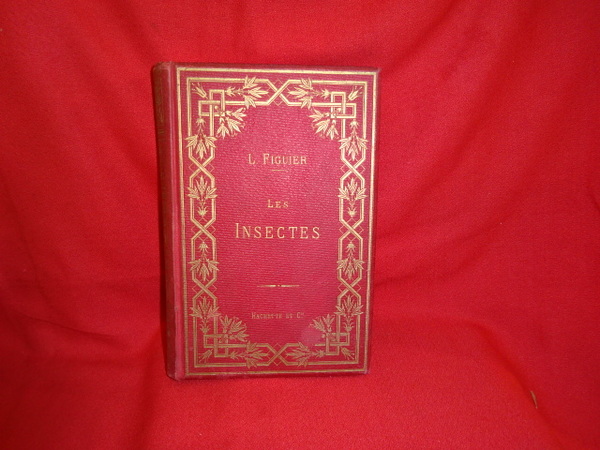 Les insectes.