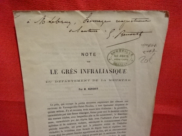 Note sur le grès infraliasique du département de la Meurthe.