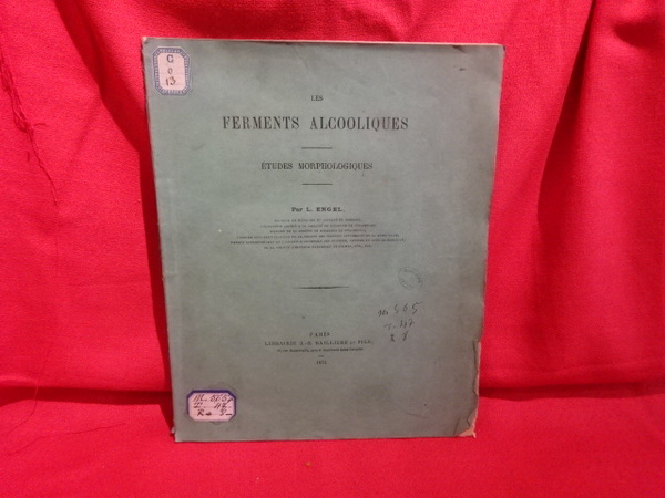 Les ferments alcooliques, études morphologiques.