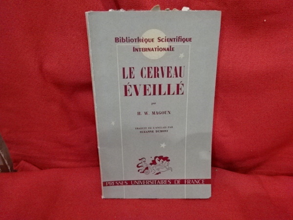 Le cerveau éveillé.