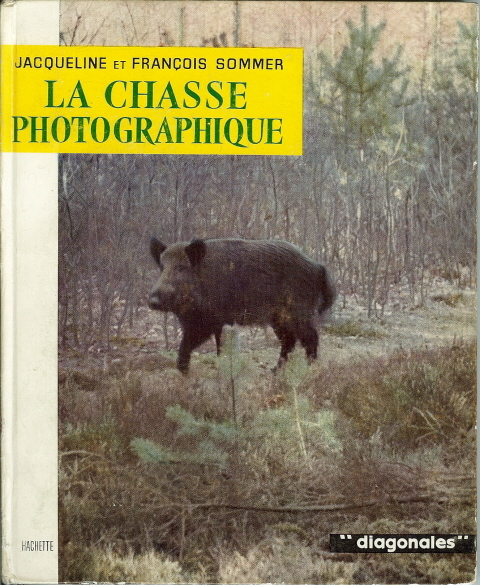 La chasse photographique