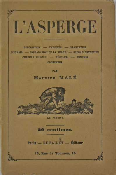 L’asperge