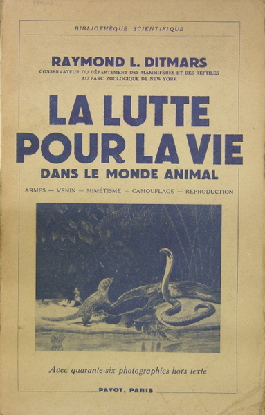 La lutte pour la vie dans le monde animal - …