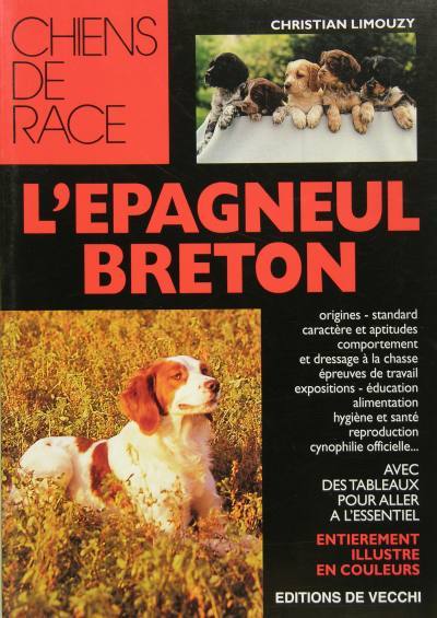 L’épagneul breton