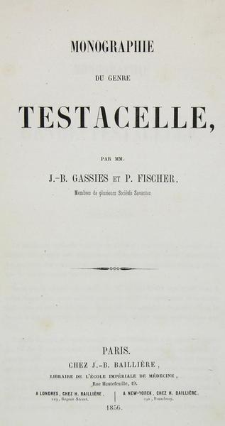 Monographie du genre Testacelle