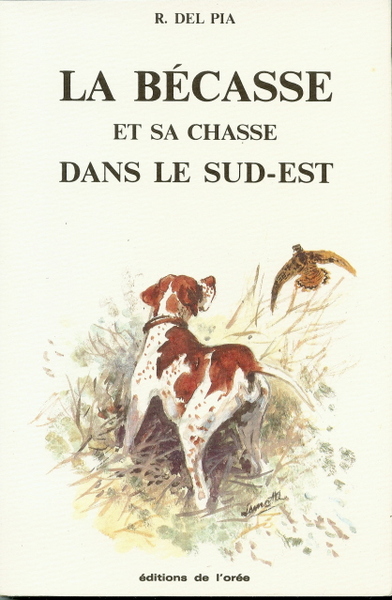 La bécasse et sa chasse dans le Sud Est.