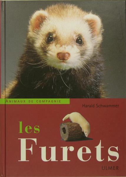 Les furets