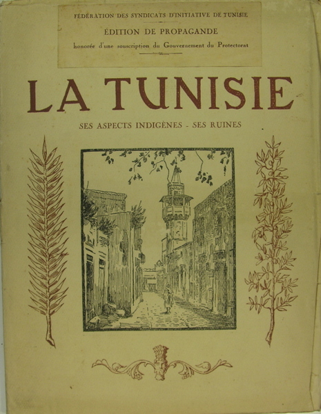 La Tunise, ses aspects indiègnes - ses ruines