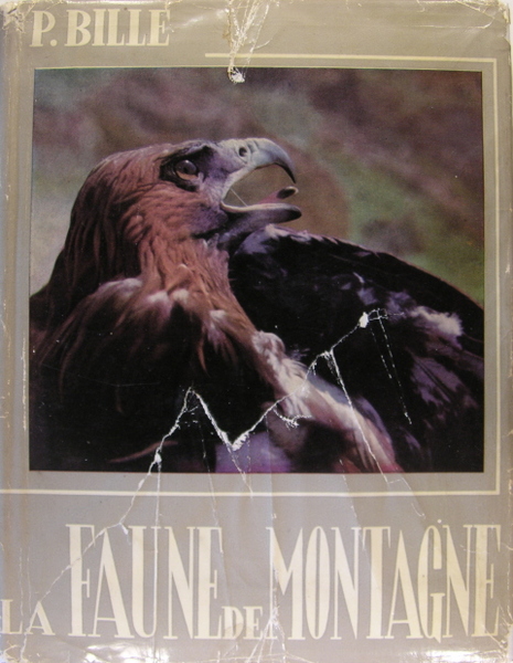 LA FAUNE DE MONTAGNE
