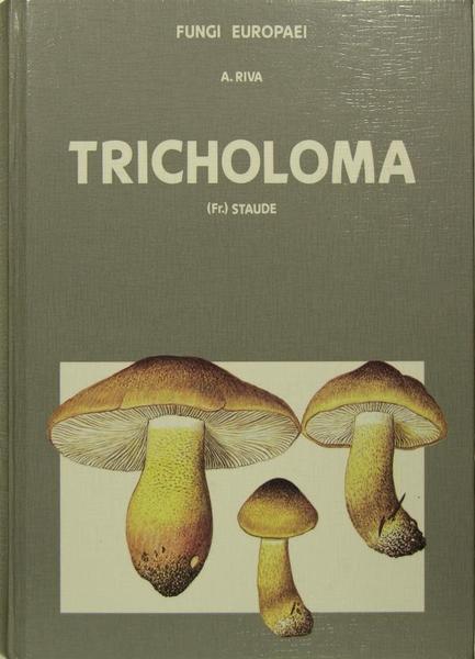 Tricholoma