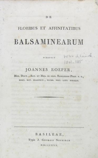 De floribus et affinitatibus balsaminearum