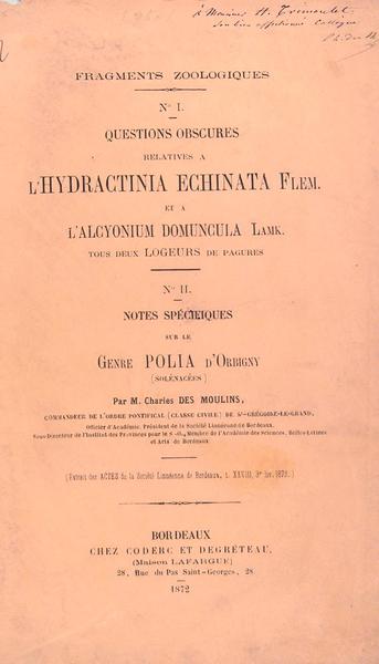 Fragments zoologiques N°1 - Questions obscures relatives à l'Hidractinia Echinata …