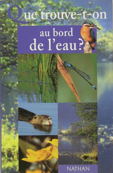 Que trouve-t-on au bord de l'eau ?