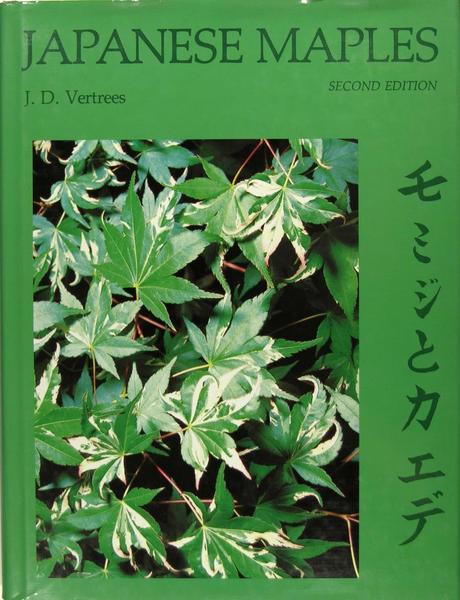 Japanese Maples