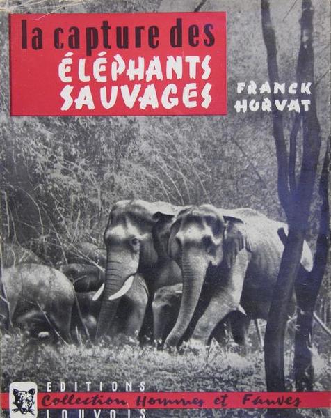 La capture des éléphants sauvages.