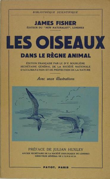 Les oiseaux dans le règne animal