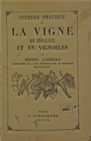 La vigne en espalier et en vignobles