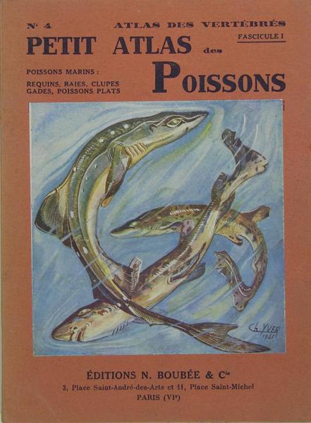 Petit atlas des poissons - N° 4, fascicule 1 : …