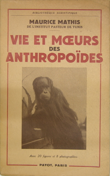 VIE ET MOEURS DES ANTHROPOÏDES