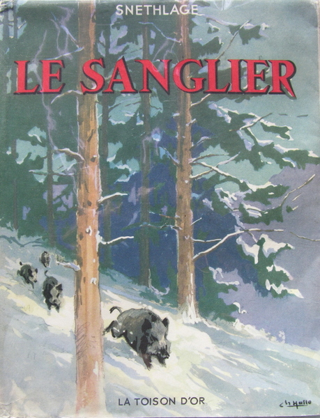 Le sanglier