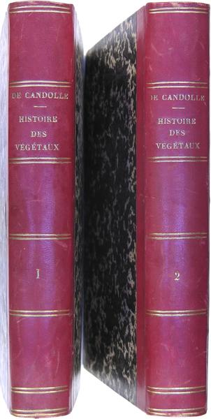 Introduction à l’étude de LA BOTANIQUE, ou traité élémentaire de …