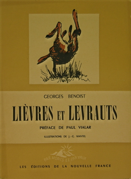 Lièvres et levrauts