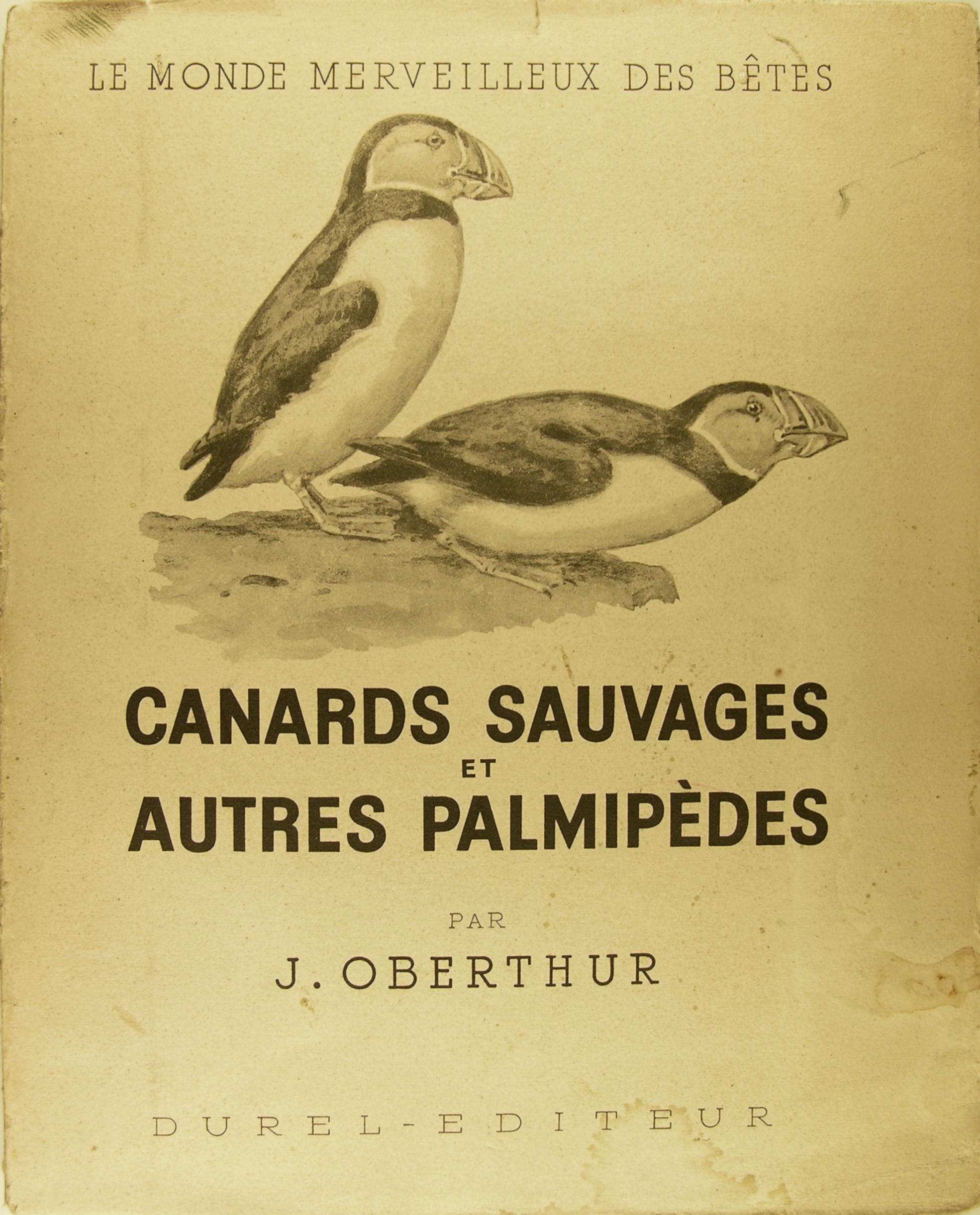 Canards sauvages et autres palmipèdes. T II.