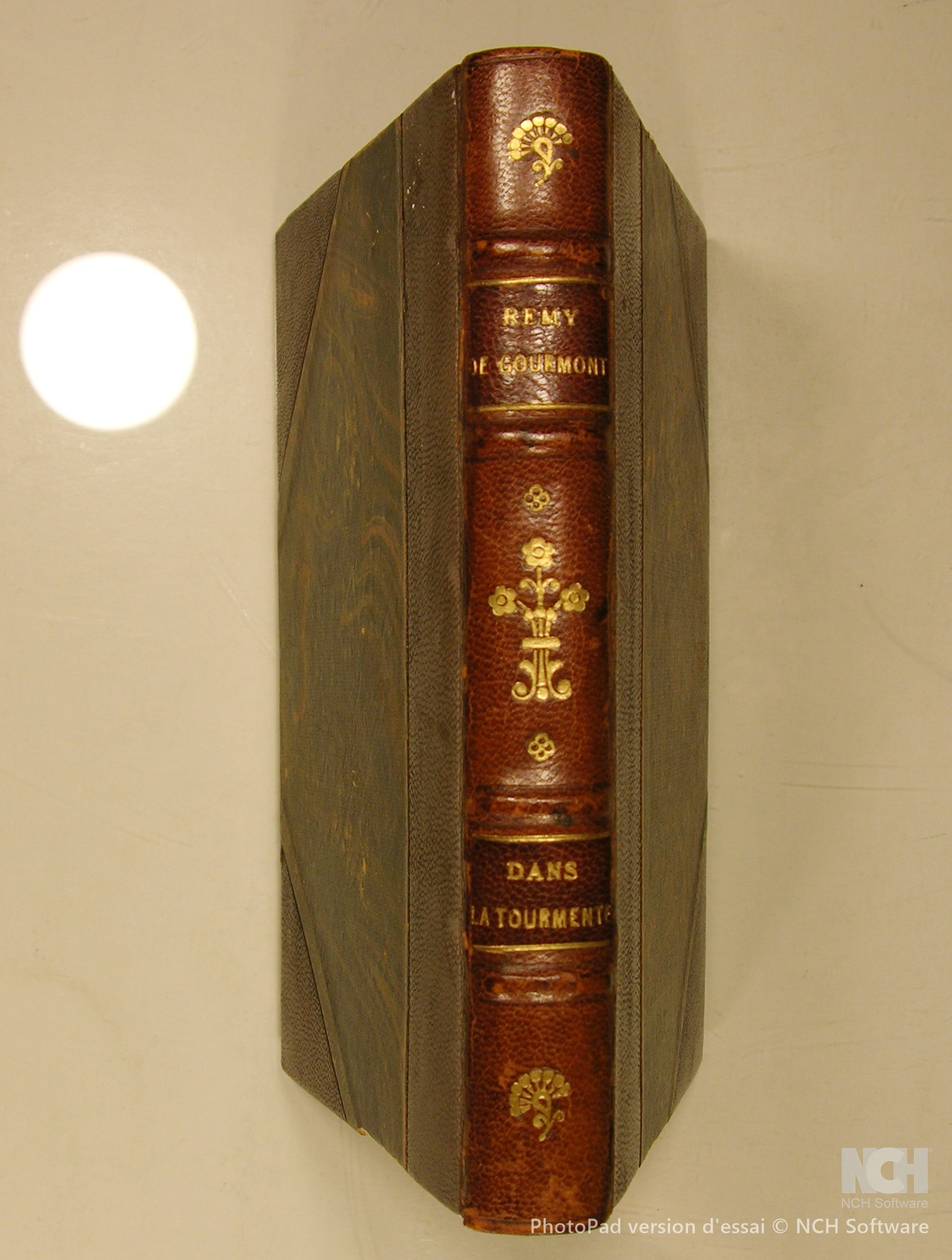 Dans la tourmente (Avril-Juillet 1915).