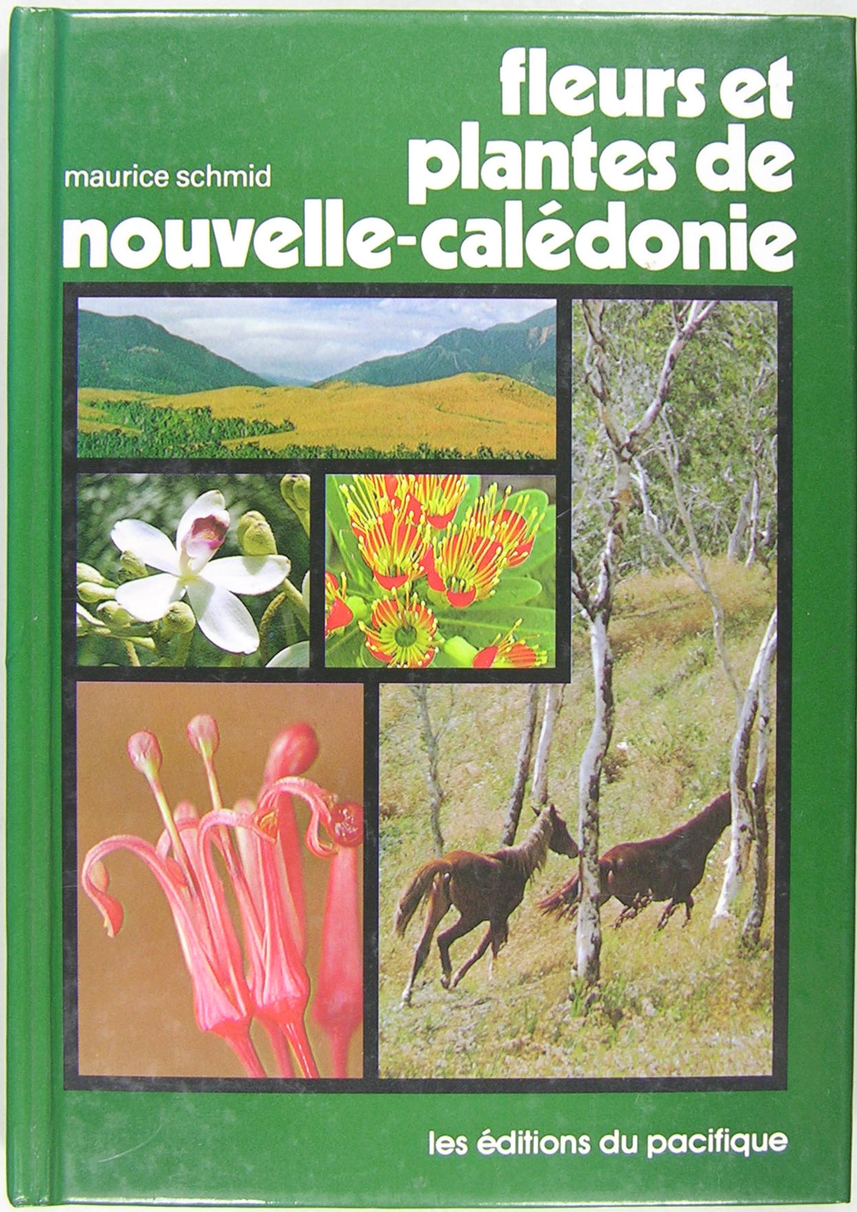 Fleurs et plantes de Nouvelle-Calédonie.