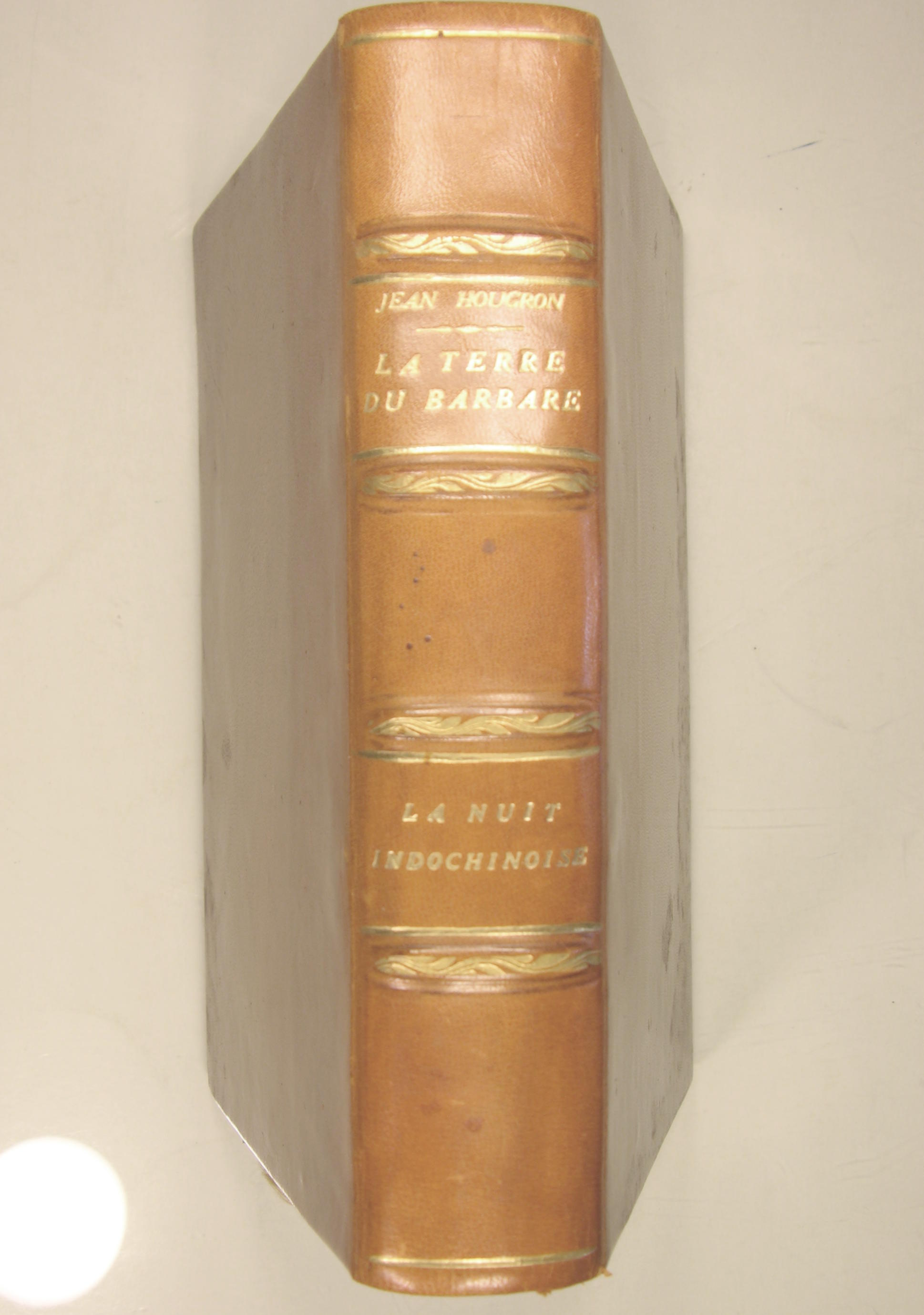 La terre du Barbare - Roman