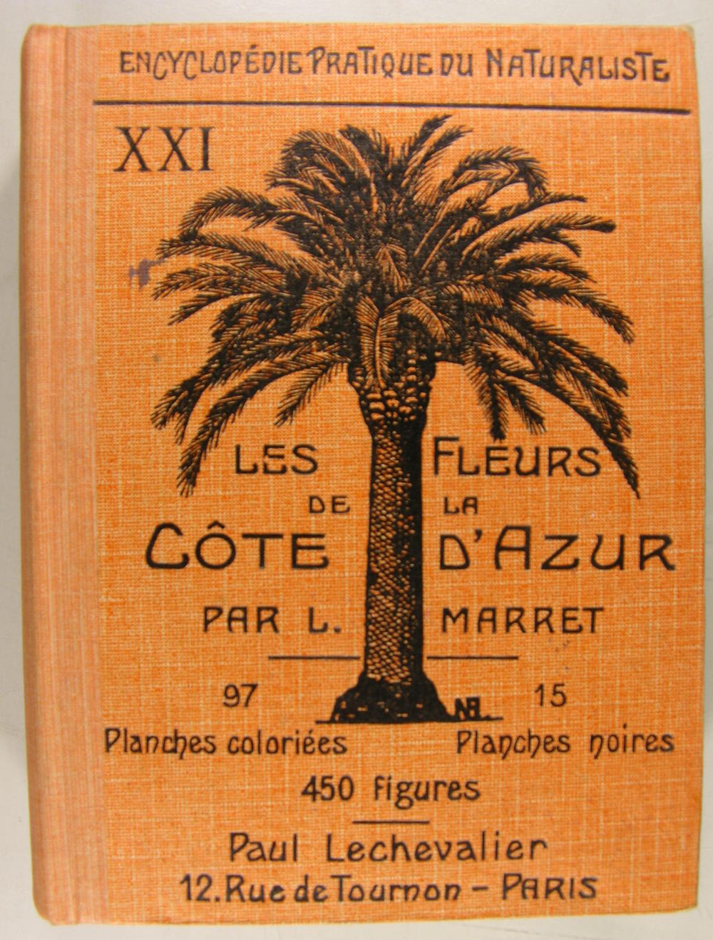 Les fleurs de la Côte d'Azur - XXI