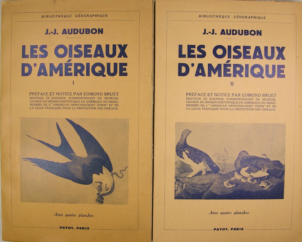 Les Oiseaux d'Amérique