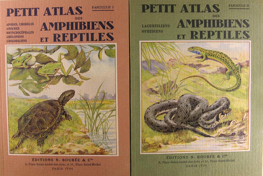 Petit atlas des Amphibiens et Rreptiles.