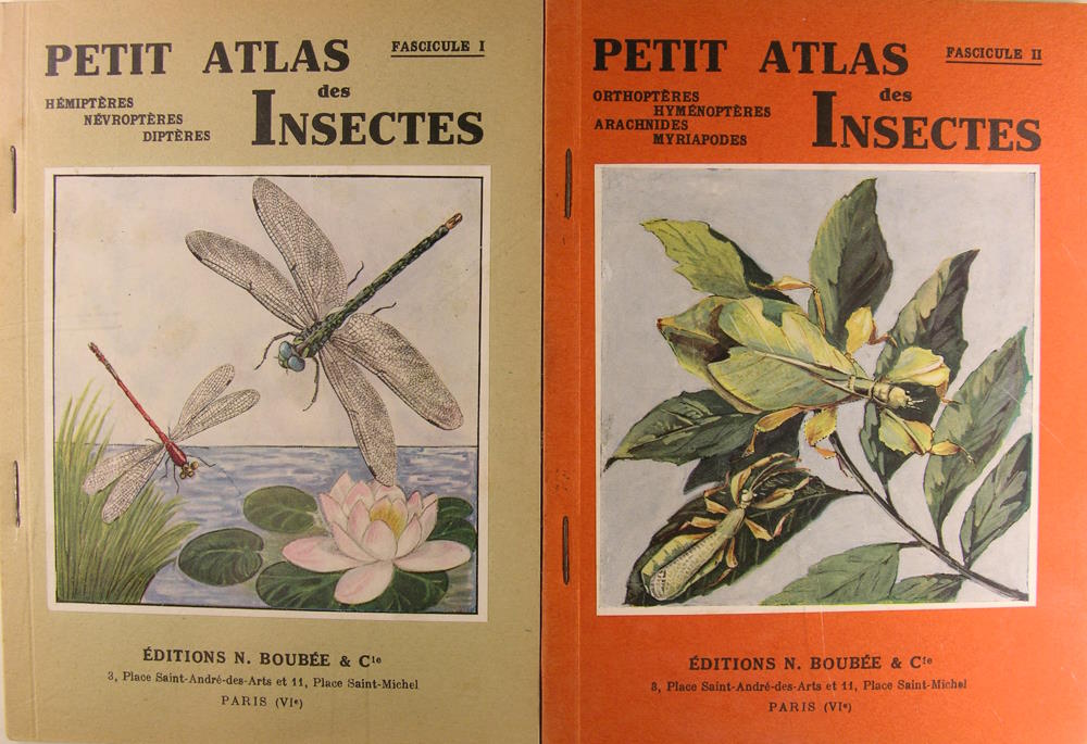 Petit Atlas des insectes. I et II.