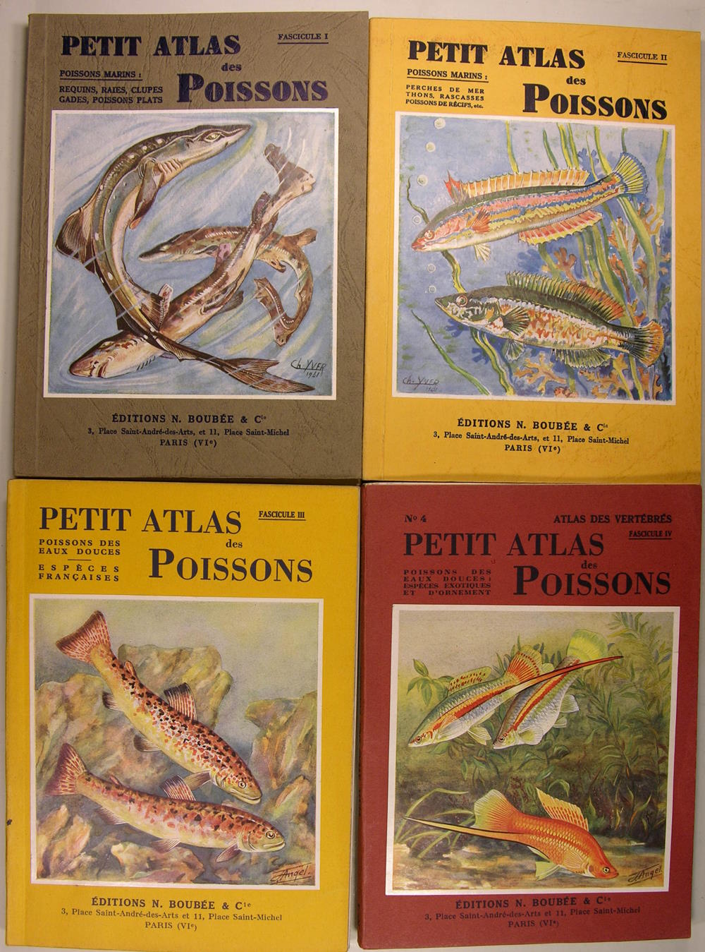 Petit Atlas des poissons - Atlas des vertébrés.