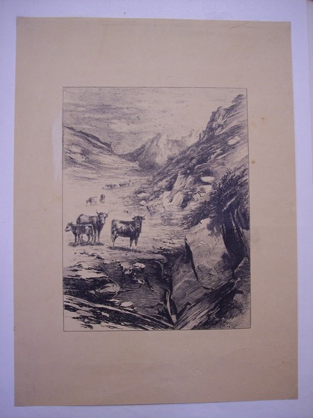 Pascolo d'alta montagna.